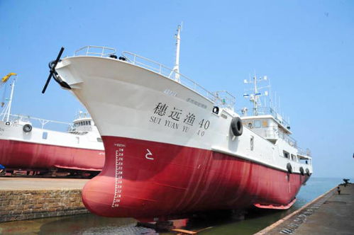 下水 历经146天三艘广州造金枪鱼延绳钓船顺利下排